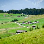 Rodenecker Alm