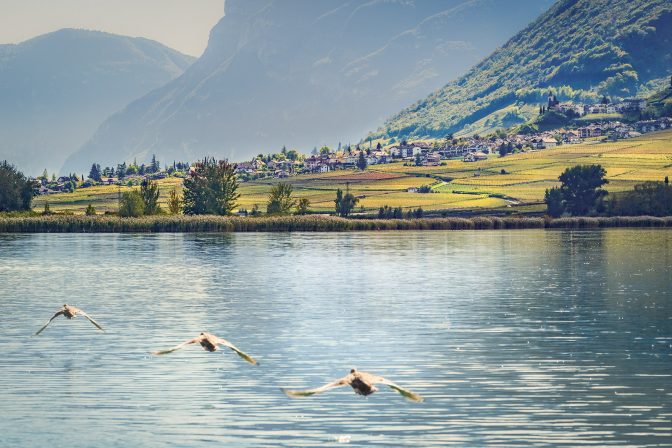 Blick über den Kalterer See nach Tramin