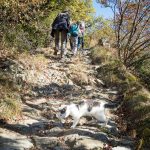 Herbstwanderung von Vilpian zum Buschenschank Oberschol Hof