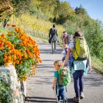 wandern von Vilpian zum Buschenschank Oberschol Hof