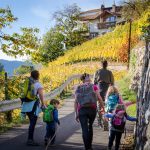 Wandern von Vilpian zum Buschenschank Oberschol Hof