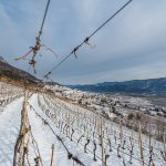 Tramin im Winter