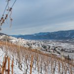 Tramin im Winter