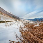 Tramin im Winter