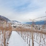 Tramin im Winter