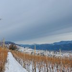 Tramin im Winter