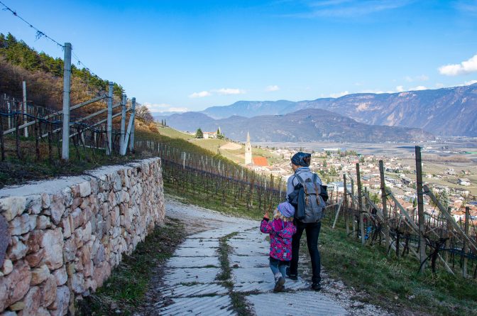 Auf den Spuren des Gewürztraminer Weinweges