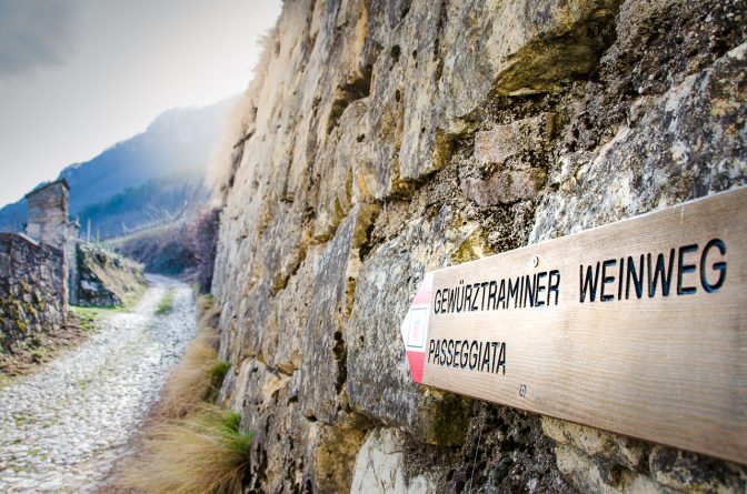 Wegweiser Gewürztraminer Weinweg