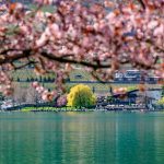 Frühling rund um den Kalterer See