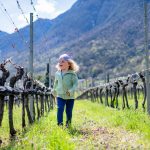 Laufen durch die Weiberge im Frühling