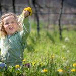 Blumen pflücken in den Weinbergen im Frühling