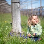 Blumen pflücken in den Weinbergen im Frühling