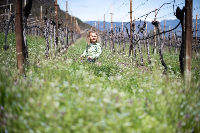 Inmitten grüner Frühlingsboten