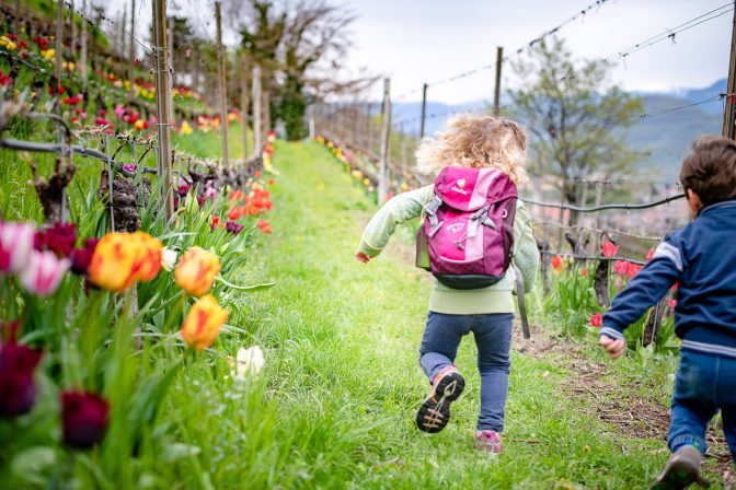 Das macht Spaß - mit Vollgas durch das Tulpenmeer!