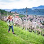 wandern im Traminer Frühling