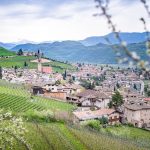 Frühling in Tramin