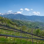 Dorf Tirol im Frühling