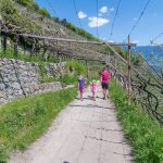 wandern am Algunder Waalweg