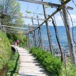 wandern am Algunder Waalweg