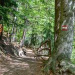 Pyramidenweg am Ritten