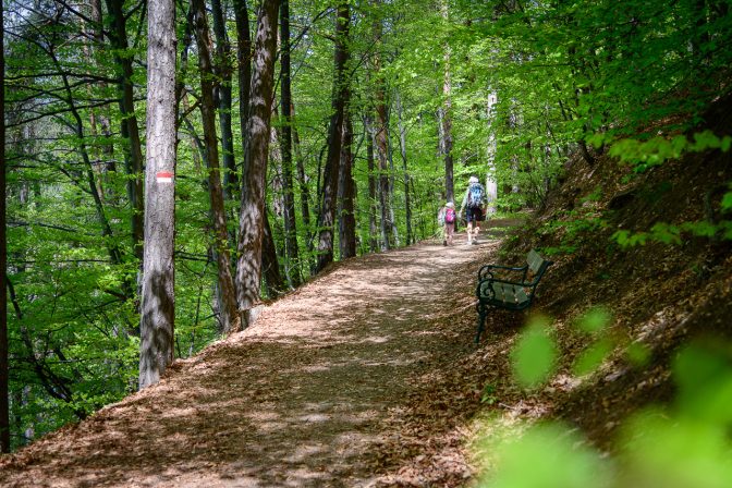 Spaziergang über die Fennpromenade in Klobenstein