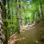 Spaziergang über die Fennpromenade in klobenstein