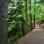 Spaziergang über die Fennpromenade in klobenstein