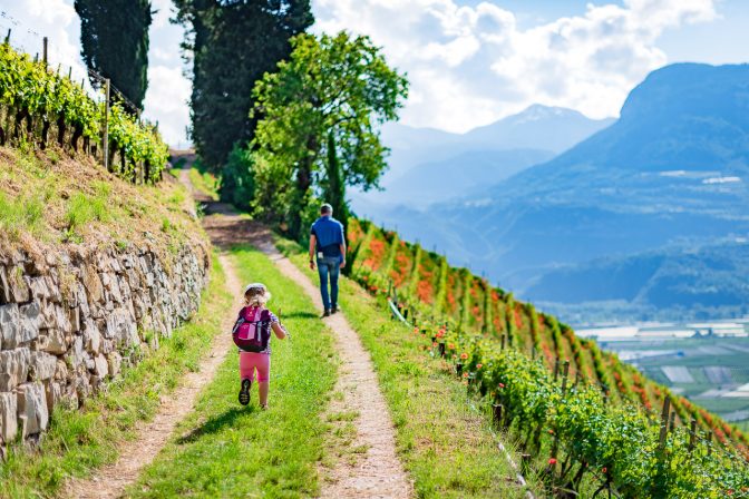 Hinauf zum Kastelz Weinberg