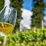 Gewürztraminer Weinwandertag