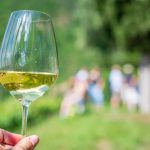 Gewürztraminer Weinwandertag