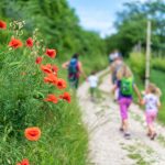 wandern Gewürztraminer Weinwandertag