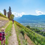 Tramin Gewürztraminer Weinwandertag