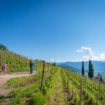 wandern in Tramin