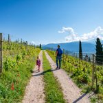 Weinbergweg Gewürztraminer Weinwandertag