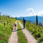 Gewürztraminer Weinwandertag