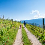 Gewürztraminer Weinwandertag