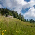 Kapelle auf der Roen Alm