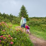 wandern zum Gipfel des Roen