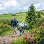 wandern zum Gipfel des Roen