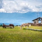 Malga Smarano di Sfruz