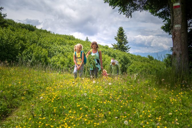 Gemütlich am Rücken des Roen entlang wandern