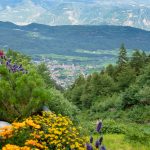 Kaltern und Montiggl vom Mendelpass aus gesehen