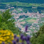 Kaltern von der Mendel aus gesehen