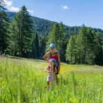 Wanderung durch die Lanner Wiesen