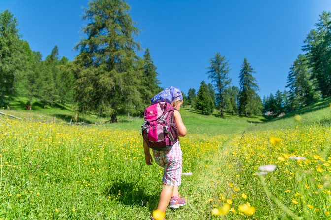 Durch die Lanner Wiesen wandern. Oben wartet der Ausblick auf die Bletterbachschlucht.