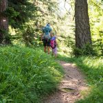 wandern oberhalb von Radein