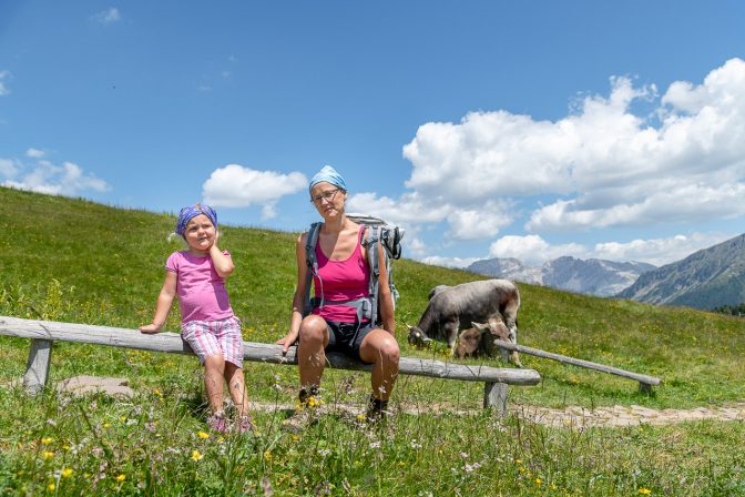 Gehörnte Kühe am Jochgrimm zählen