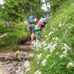 Wanderung mit Leimkraut am Wegesrand