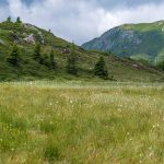 Hochmoor am Laugen