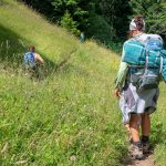 wandern durch Wiesen